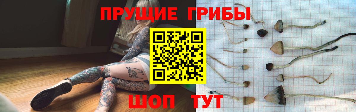 Псилоцибиновые грибы прущие грибы  Псилоцибиновые грибы прущие грибы  Вход с VPN  Дзержинский 