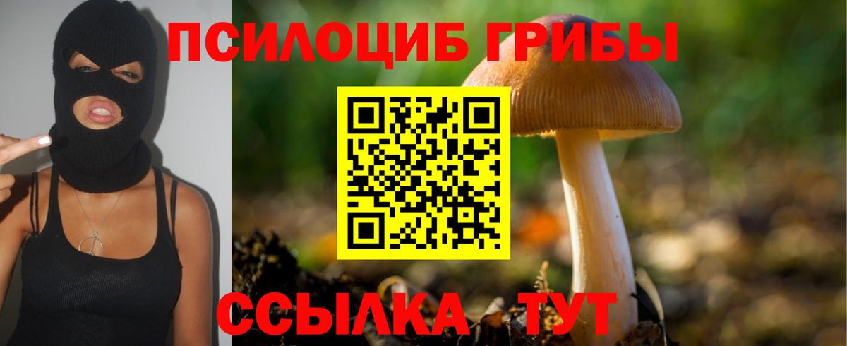 Псилоцибиновые грибы ЛСД Дзержинский